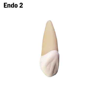 Kit UCS Endodontia 2 - Like Real